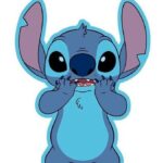 Cojin Stitch